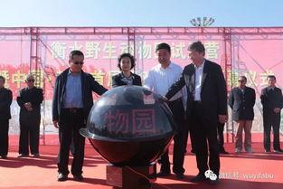 武邑爆料最新新闻报道,聚焦热点事件深度解析 第3张 武邑爆料最新新闻报道,聚焦热点事件深度解析 第3张