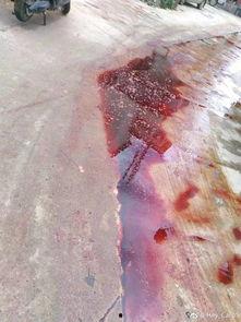 屠宰最新爆料消息网,屠宰行业惊人内幕大揭秘!  第2张 屠宰最新爆料消息网,屠宰行业惊人内幕大揭秘!  第2张