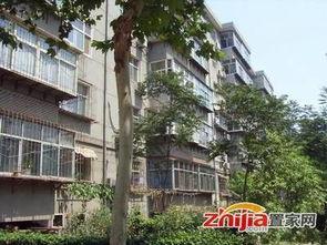 石家庄高柱最新爆料  第2张 石家庄高柱最新爆料  第2张